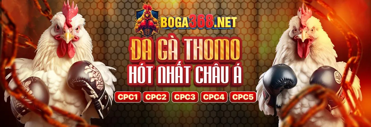 Đội ngũ vnd66 đang họp chiến lược