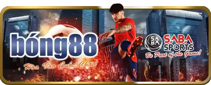 Cá cược bóng đá tại vnd66